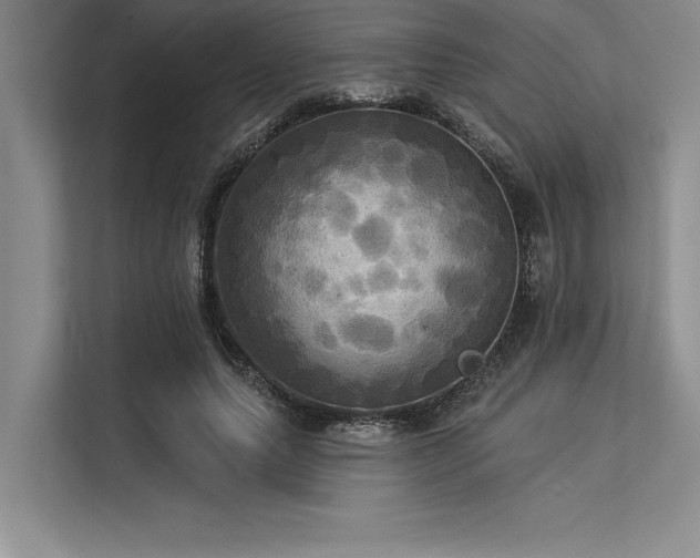 X0000113300639200909211122