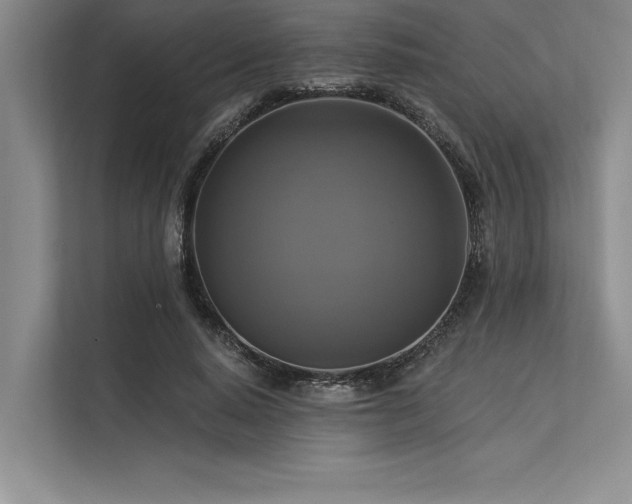 X0000113300640200909211122