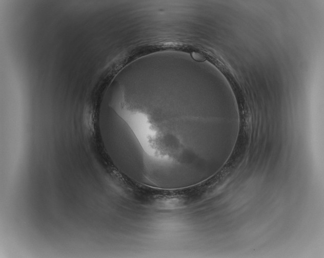 X0000113300643200909211122