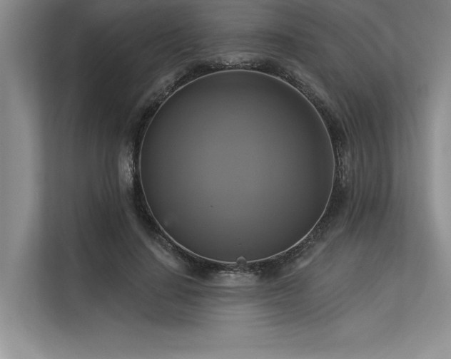 X0000113300644200909211122