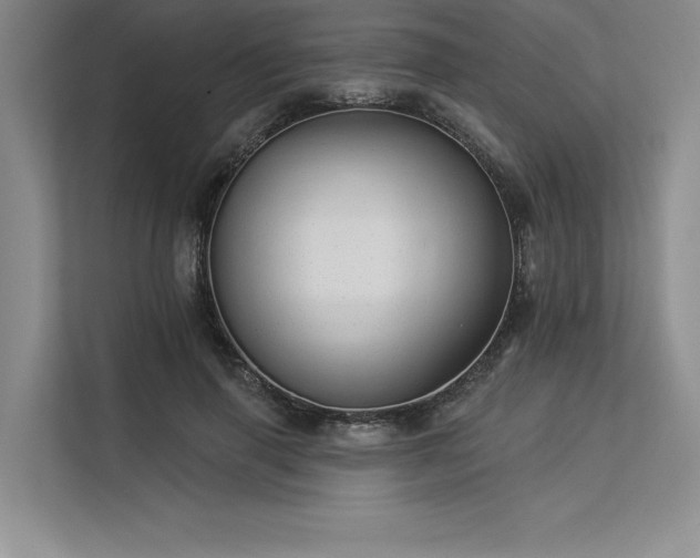 X0000113300645200909211122