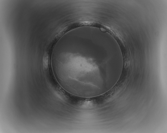 X0000113300647200909211122