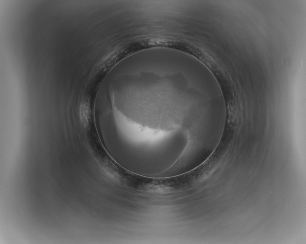 X0000113300648200909211122