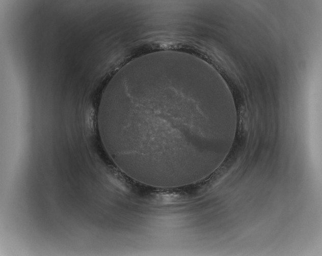 X0000113300650200909211122