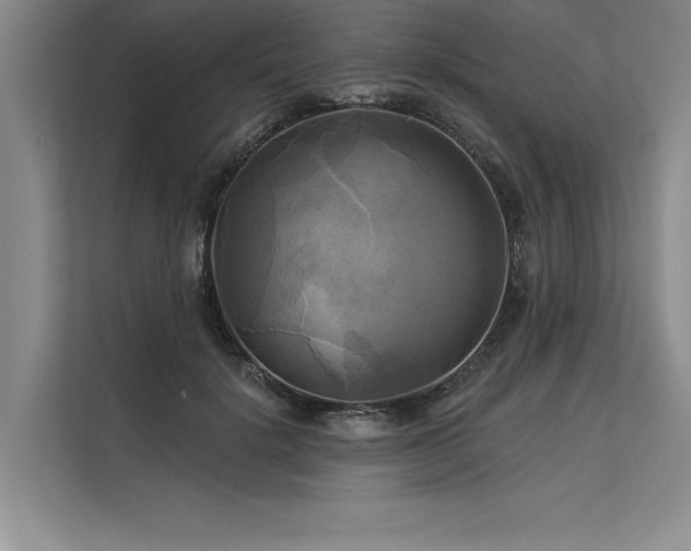 X0000113300652200909211122