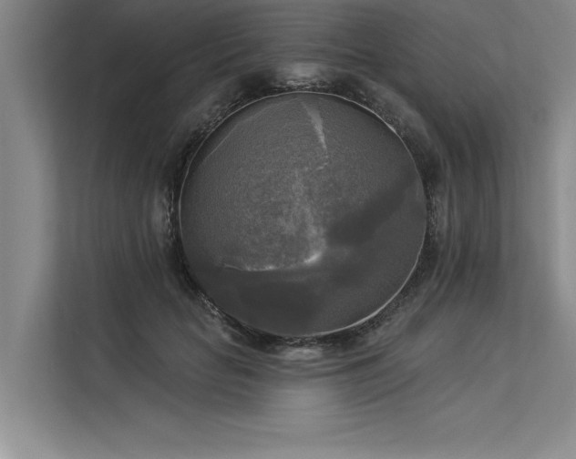 X0000113300653200909211122