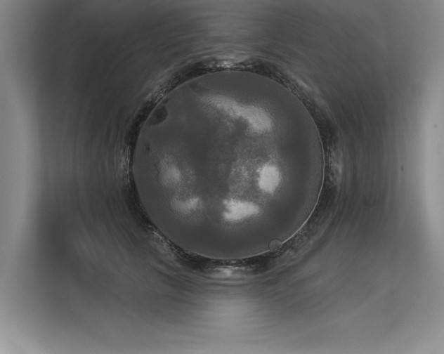 X0000113300657200909211122