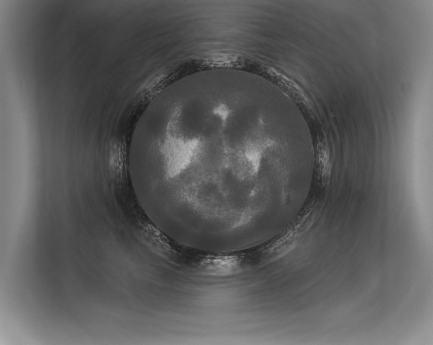 X0000113300665200909211122