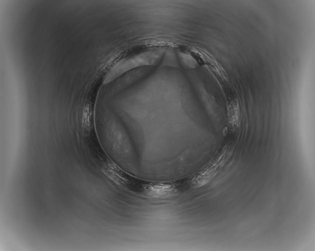 X0000113300669200909211122