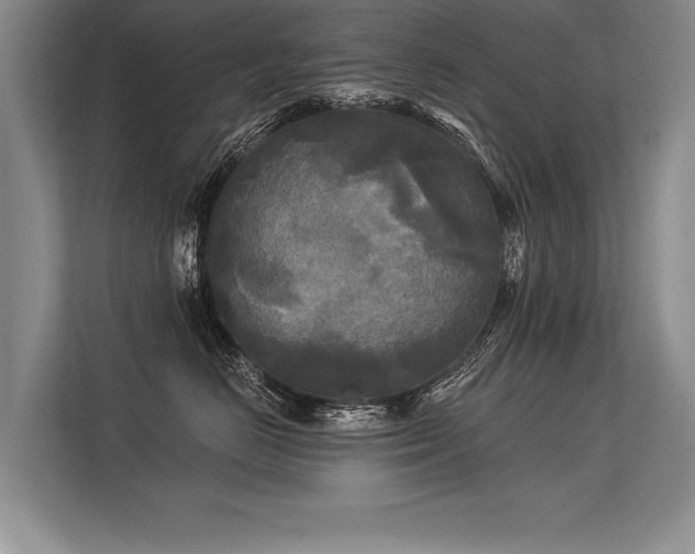 X0000113300670200909211122