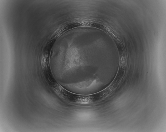 X0000113300671200909211122