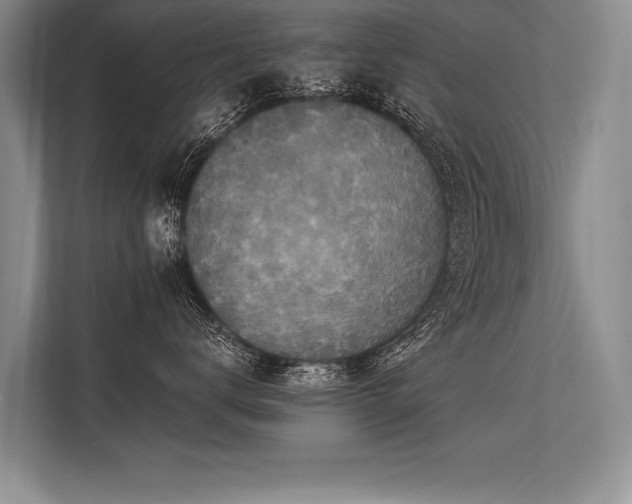 X0000113300672200909211122