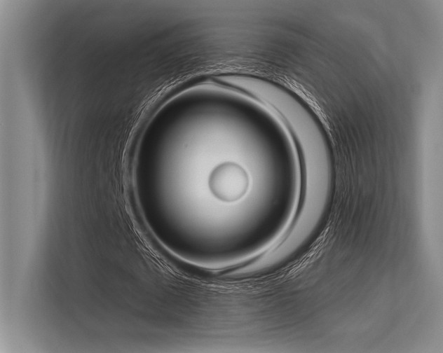 X0000113300673200909211122