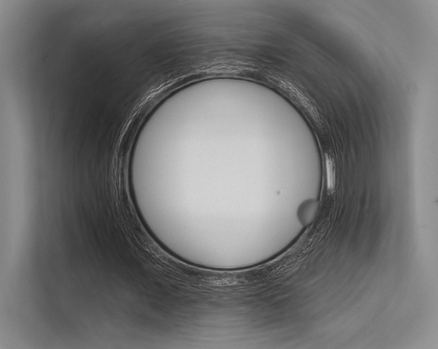 X0000113300675200909211122