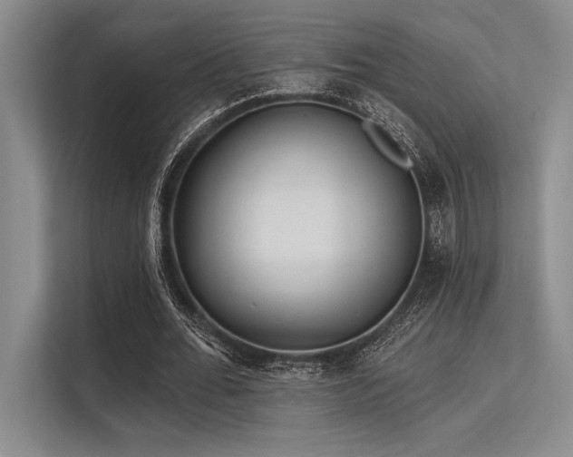 X0000113300676200909211122