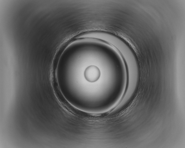 X0000113300677200909211122