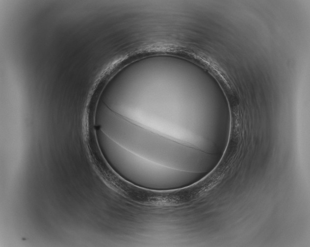 X0000113300678200909211122