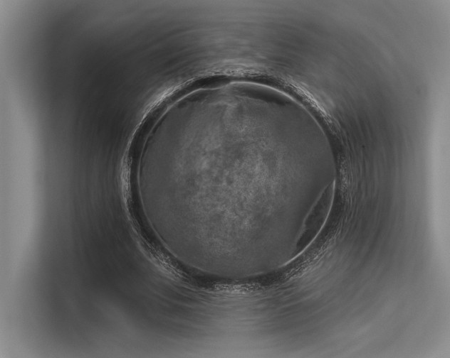 X0000113300679200909211122