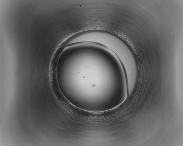 X0000113300680200909211122