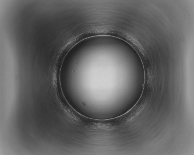 X0000113300681200909211122