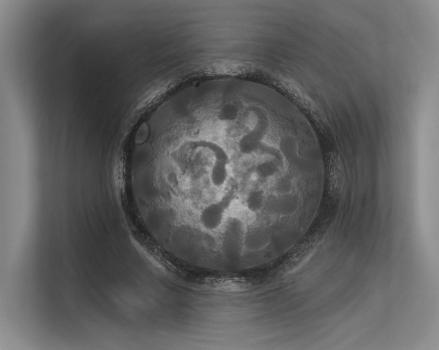 X0000113300683200909211122