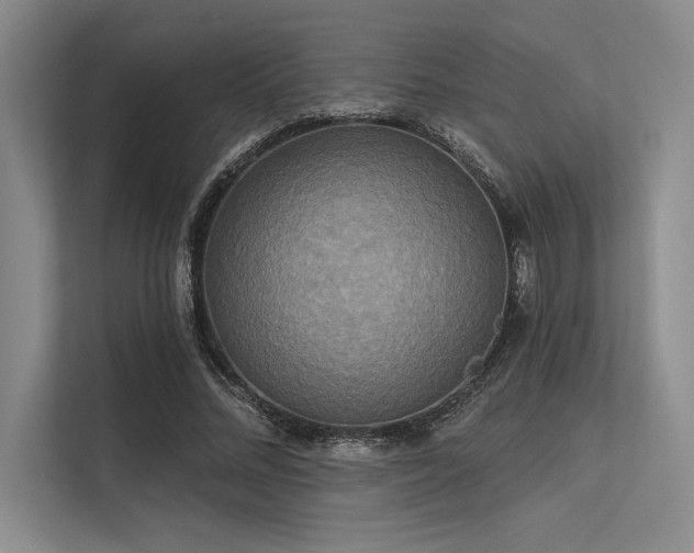 X0000113300684200909211122