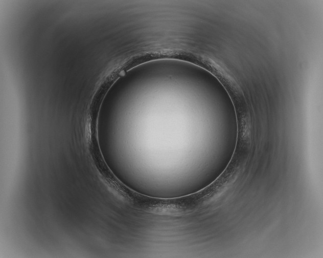 X0000113300685200909211122