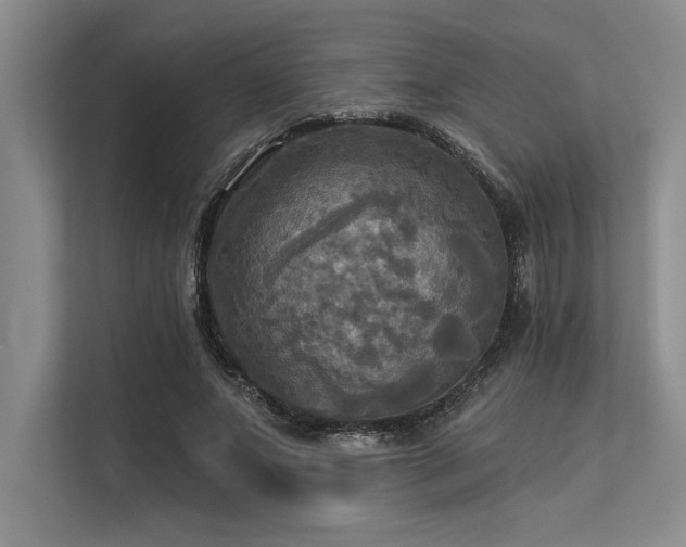 X0000113300687200909211122