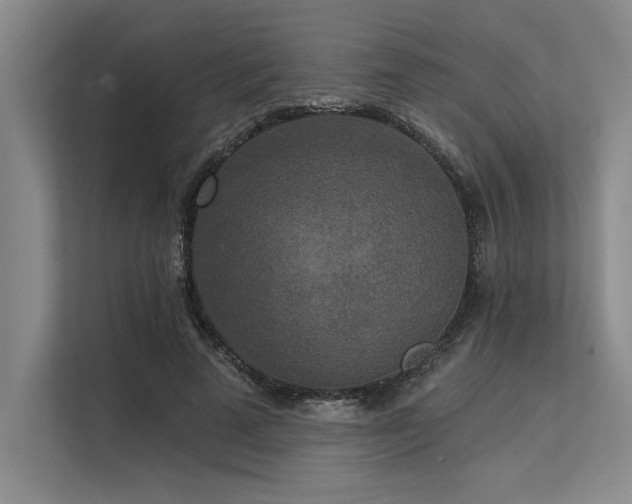 X0000113300689200909211122