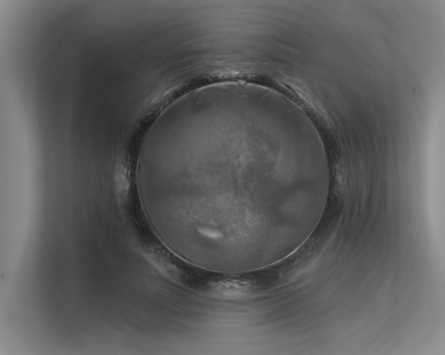 X0000113300691200909211122