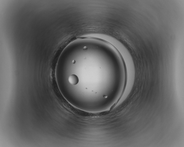 X0000113300692200909211122