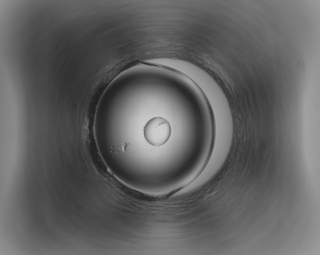 X0000113300693200909211121