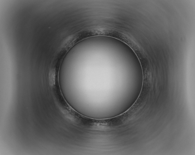 X0000113300694200909211121