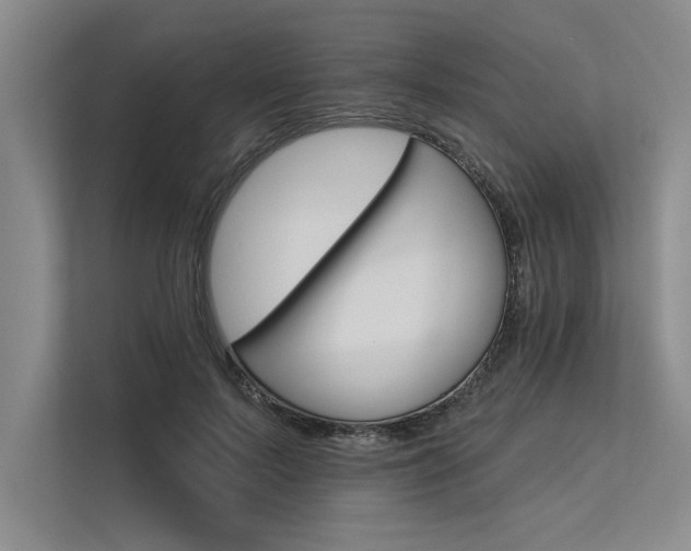 X0000113300695200909211121