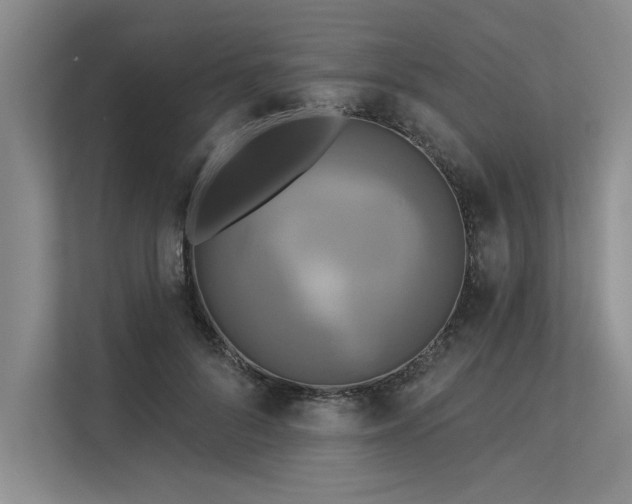 X0000113300696200909211121