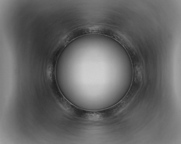 X0000113300698200909211121