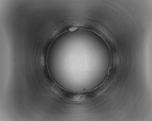 X0000113300700200909211121