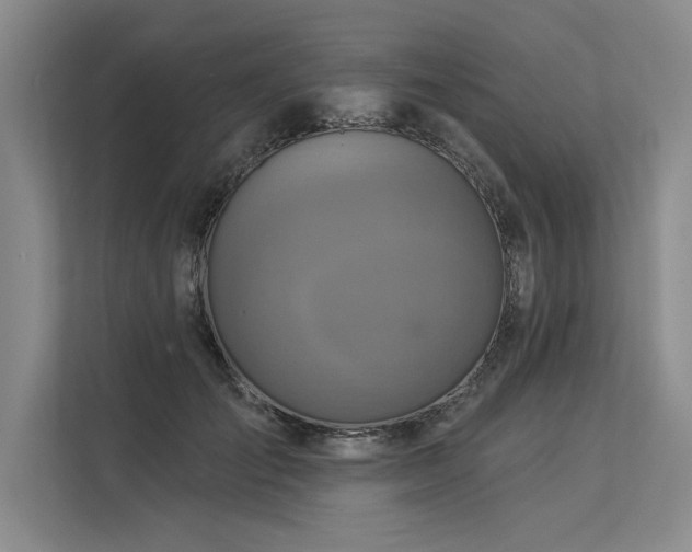 X0000113300701200909211121