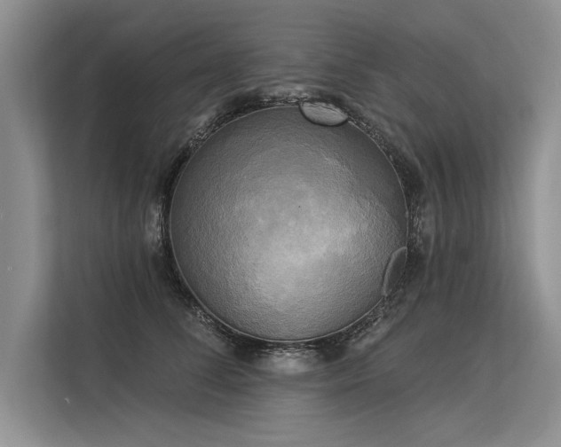 X0000113300708200909211121