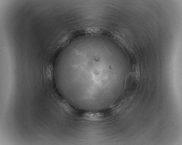 X0000113300712200909211121