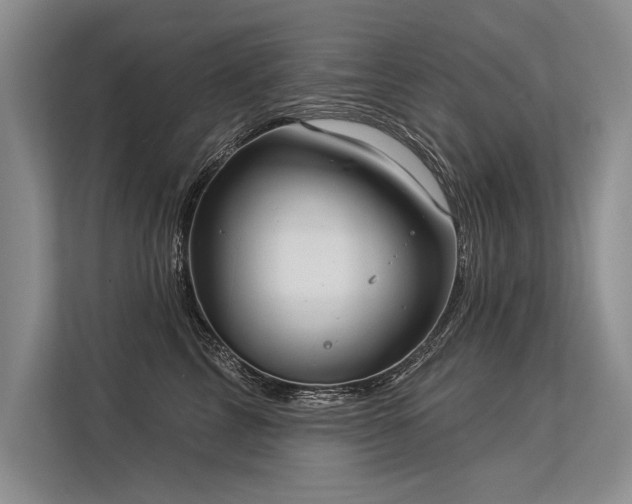 X0000113300713200909211121