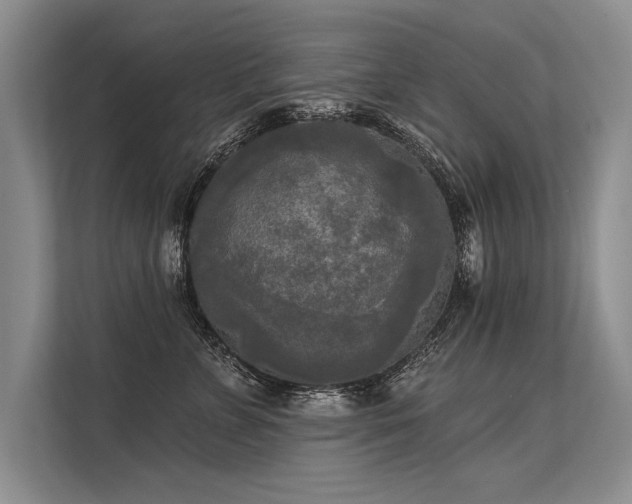 X0000113300715200909211121