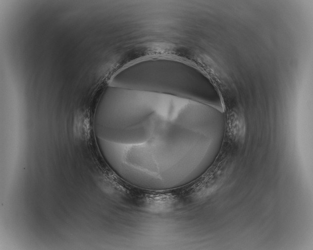 X0000113300716200909211121