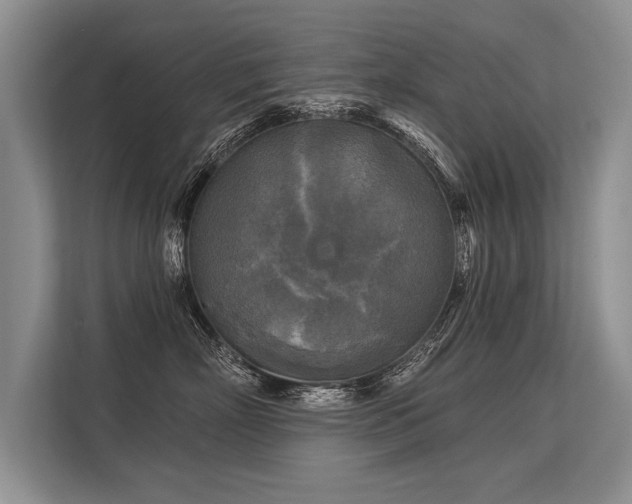 X0000113300718200909211121