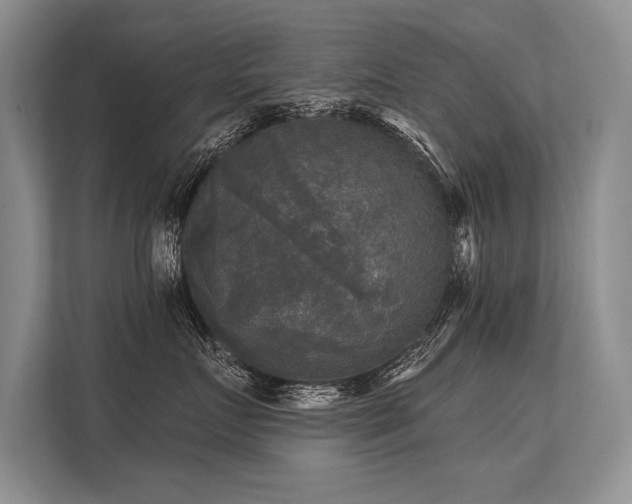 X0000113300719200909211121