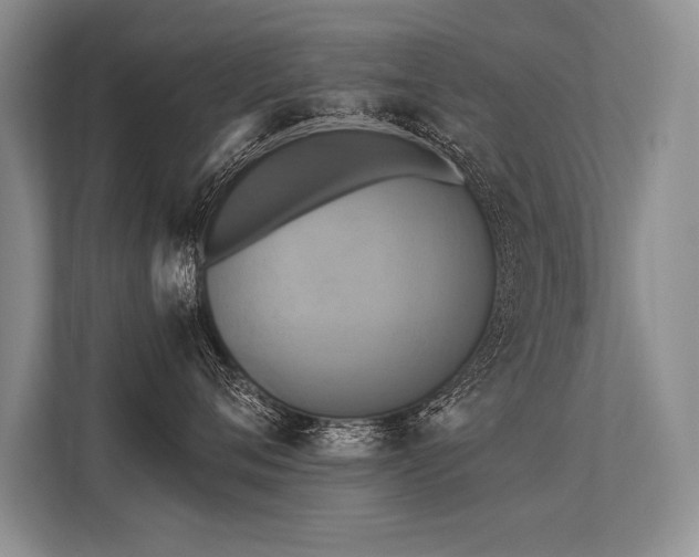 X0000113300720200909211121