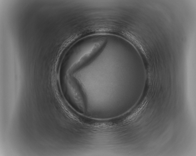 X0000113300721200909211120