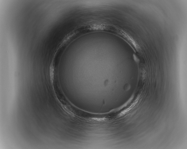 X0000113300722200909211120