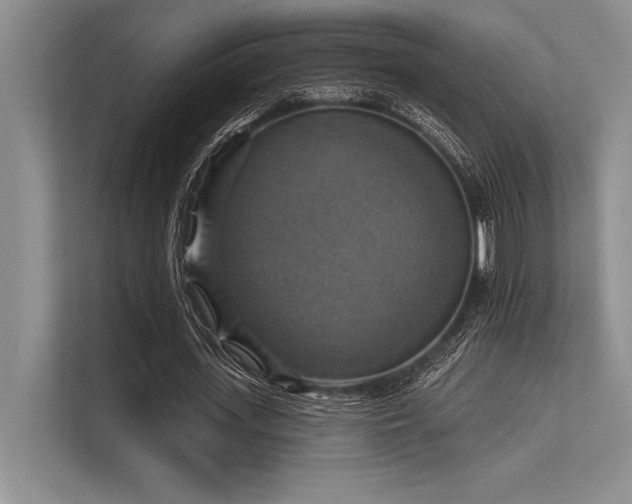 X0000113300723200909211120