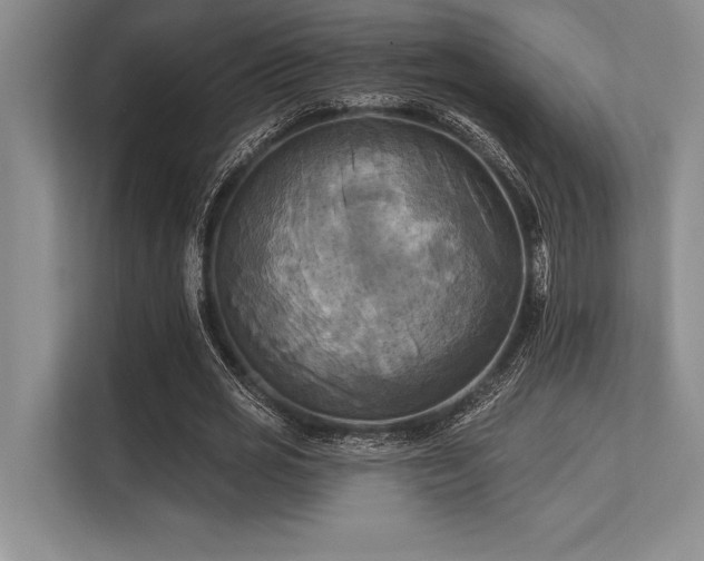 X0000113300725200909211120